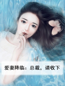 总裁爱妻入命