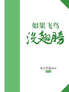 如果飞鸟没翅膀