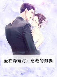 隐婚总裁 爱你入骨