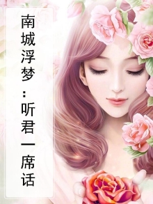 南城一梦小说