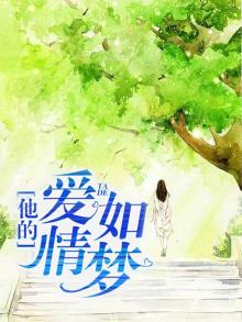 他的爱情如梦 流星飒沓