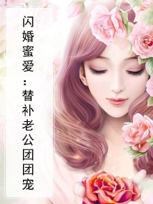 替补老公宠团妻 小说