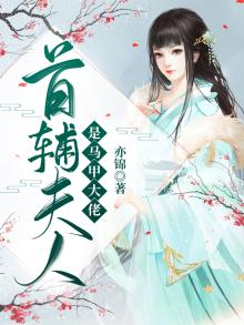 首辅夫人 小说