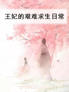 王妃 难度
