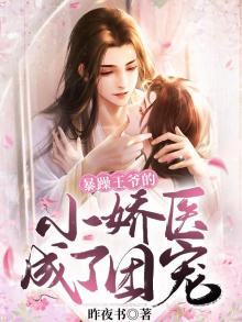 暴躁王爷拽王妃小说