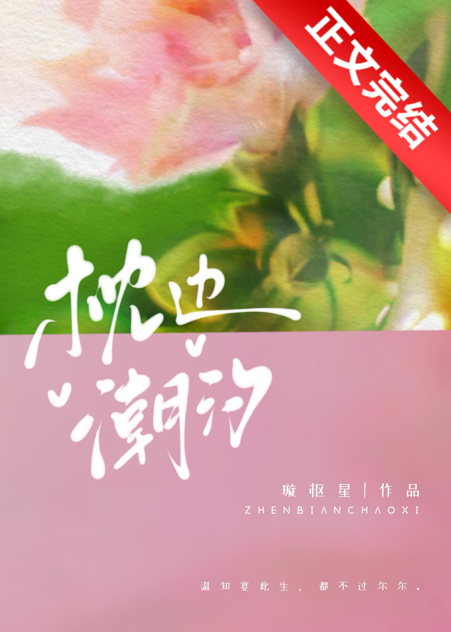 枕边潮汐小说在线阅读免费全文
