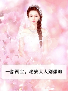 一胎两宝，老婆大人别想逃
