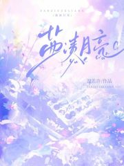 盐渍月亮什么味道吗