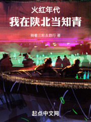 火红年代我在陕北当知青小说