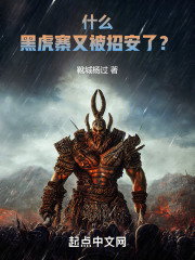 什么黑虎寨又被招安了笔趣阁