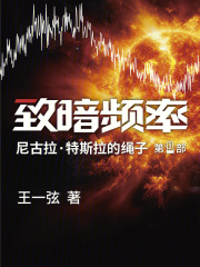 致暗频率小说
