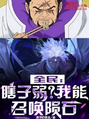 全民瞎子弱我能召唤陨石笔趣阁