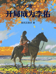 大唐:开局成为李佑小说