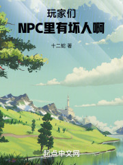 npc眼中的玩家
