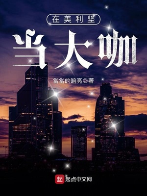 在美利坚当大咖 小说