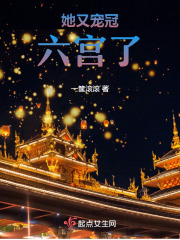 她又宠冠六宫了小说