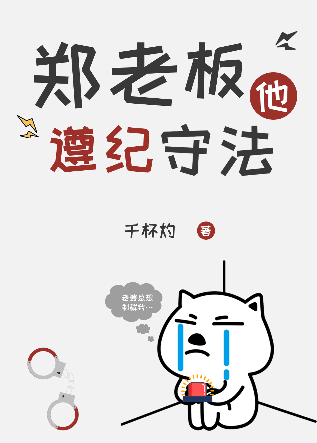 郑老板他遵纪守法免费阅读