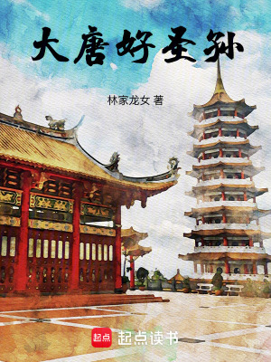 大唐好圣孙起点