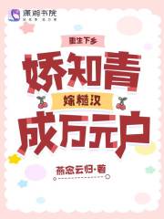 重生知青下乡嫁撩军长的小说