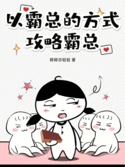 以霸制霸小说