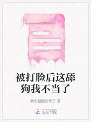我被打脸的那些年 小说