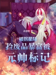 被拐星际,捡废品暴富被元帅标记
