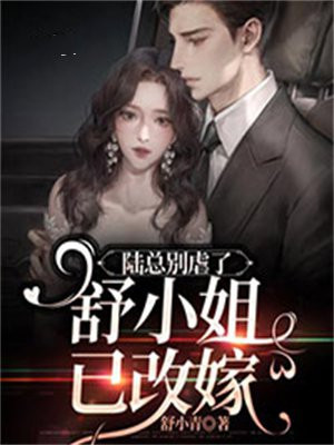 陆总别虐了舒小姐已改嫁了小说