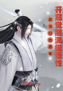 武当扫地道童,开局觉醒满级悟性 鸿飞青书客
