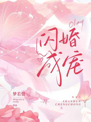 闪婚成宠老公竟是千亿大佬免费阅读全文第十四章