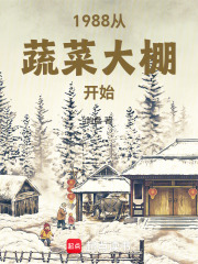 蔬菜大棚从哪年开始