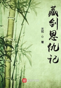 藏剑恩仇记 小说