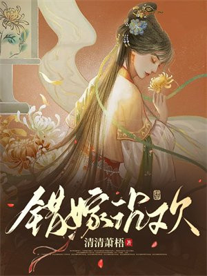 错嫁成婚 小说