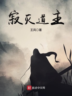 寂灭道主TXT
