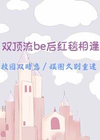 惊双顶流be后红毯相逢了免费