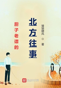厨子老谭的北方往事小说免费阅读