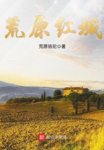 荒原红城 主角分析