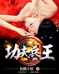 功夫兵王TXT