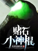 赌石小神棍小说全文免费阅读