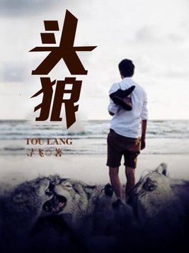 头狼小说免费阅读