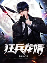 狂兵龙婿 第500章