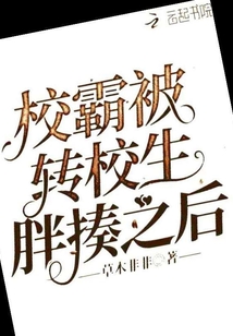 转校生是校霸