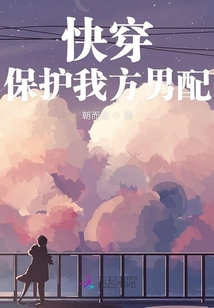 保护我方男主 小说