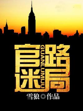 官路迷局宋卫东小说全文免费阅读