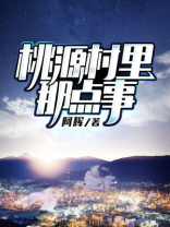 桃源村里那点事说的是什么