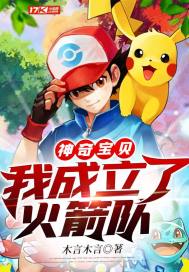 宝可梦火箭队宝可梦