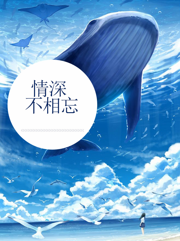 情深不相许