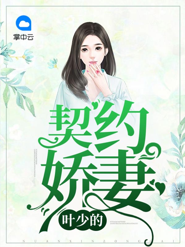 小说叶少宠妻如命免费阅读