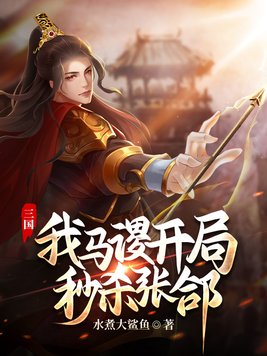 主角马谡的小说