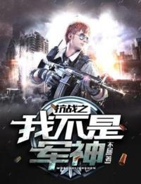 抗战之我不是军神TXT下载