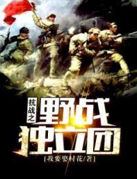 抗战之野战独立团第286章